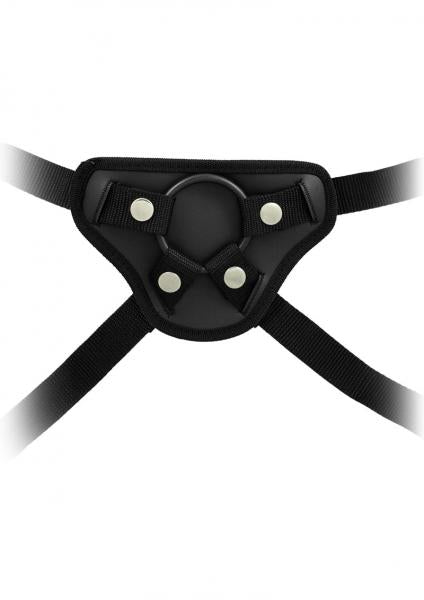 Harness The Revolution
