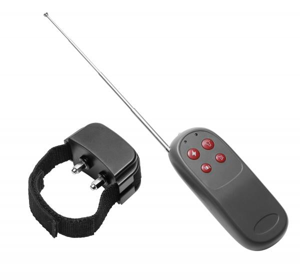 C*ck Shock Remote CBT Electric C*ck Ring