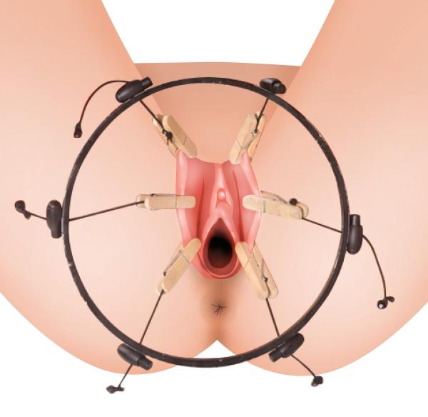 The Pussy Spreader Female Bondage Device - Bulk