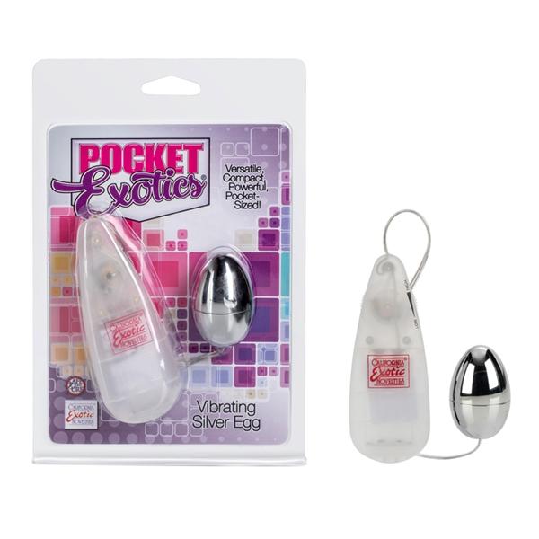 Pocket Exotics Silver Egg Vibrator