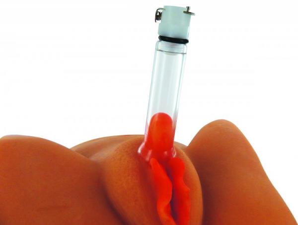 Clitoral Pumping System Detachable Acrylic Cylinder