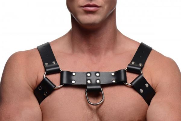 English Bull Dog Harness With Cock Strap Black