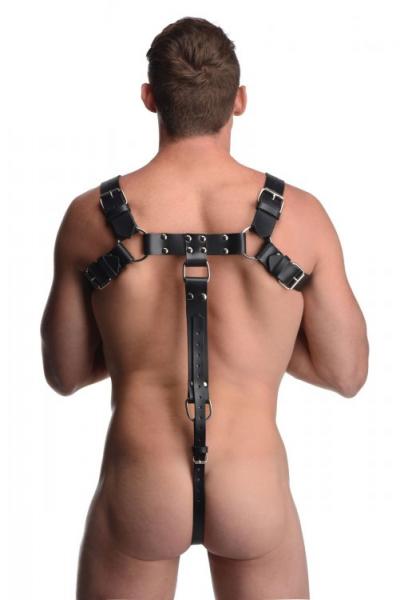 English Bull Dog Harness With Cock Strap Black