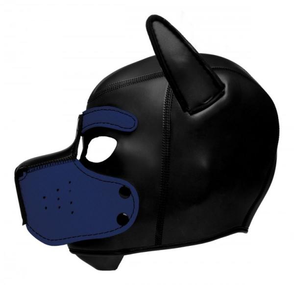 Spike Neoprene Puppy Hood Blue O/S