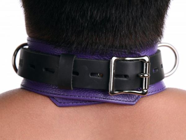 Strict Leather Deluxe Locking Collar Purple Black