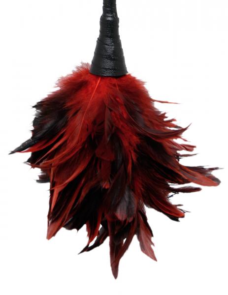 Fetish Fantasy Frisky Feather Duster