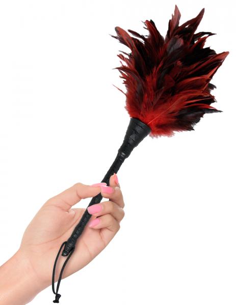 Fetish Fantasy Frisky Feather Duster